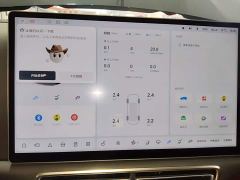 Li Auto L7 Pro - ფოტო 11
