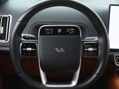 Li Auto L9 Pro - ფოტო 10