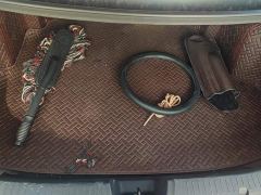 Changan Eado Blue Whale 1.5T 500Bar Luxury - фото 4