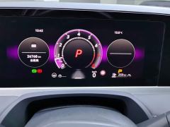 Volkswagen Magotan 300TSI DSG Prestige Edition with Eye-Catching Package - photo 14