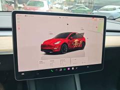 Tesla Model Y Rear-Wheel Drive - ფოტო 11