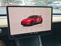 Tesla Model Y Rear-Wheel Drive - ფოტო 12