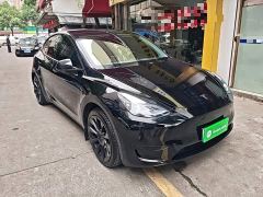 Tesla Model Y Rear-Wheel Drive - ფოტო 3