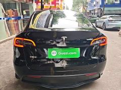 Tesla Model Y Rear-Wheel Drive - ფოტო 5