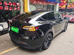 Tesla Model Y Rear-Wheel Drive - ფოტო 6