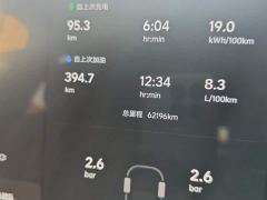 Li Auto L9 Max - ფოტო 9