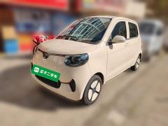 BYD Xiaohoo EV FOR-Four Good Tiger Long Range Ternary Lithium - ფოტო 1