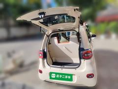 BYD Xiaohoo EV FOR-Four Good Tiger Long Range Ternary Lithium - ფოტო 20