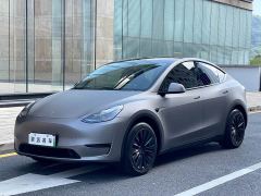 Tesla Model Y Rear-Wheel Drive - ფოტო 1