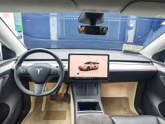 Tesla Model Y Rear-Wheel Drive - ფოტო 11