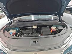 BYD Song L DM-i 112km Transcendence - photo 19
