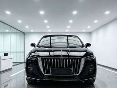 FAW Hongqi H5 1.5T DCT ZhiLian Qiyue Edition - photo 2