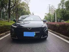 Wuling Xingguang 150 Advanced Edition - фото 2