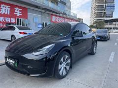 Tesla Model Y Rear-Wheel Drive - фото 1