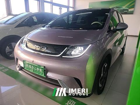 2022 BYD Dolphin 405km Fashion Edition - ავტომობილი ჩინეთიდან