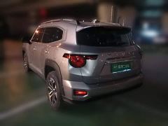 Haval Big Dog PLUS 2.0T AWD Trendy Wilderness Plus - фото 4