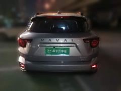 Haval Big Dog PLUS 2.0T AWD Trendy Wilderness Plus - фото 5
