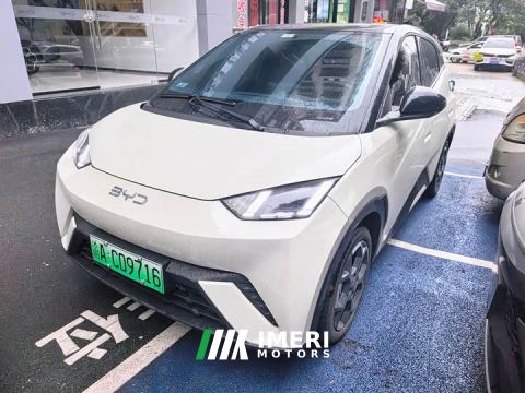 2024 BYD Seagull 405km Flying Edition - ავტომობილი ჩინეთიდან