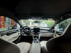 BYD Qin PLUS Champion Edition DM-i 55KM Leading - фото 5