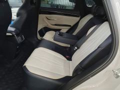 BYD Song Plus New Energy Champion Edition DM-i 110KM Flagship - photo 16