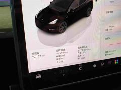 Tesla Model Y Rear-Wheel Drive - ფოტო 12