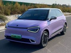 Dongfeng Nano 01 330 Plus Smart - photo 1