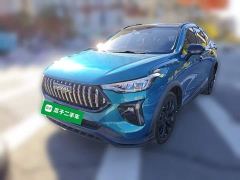 Haval Chitu Turbo Engine Edition 1.5T Platinum - фото 1