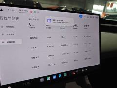 Xiaomi YU7 Four-Wheel Drive Pro - ფოტო 5