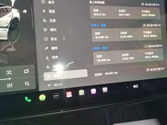 Tesla Model 3 Rear-Wheel Drive - ფოტო 11