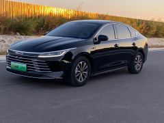 BYD Destroyer 05 DM-i 55KM Cruising Edition - фото 1