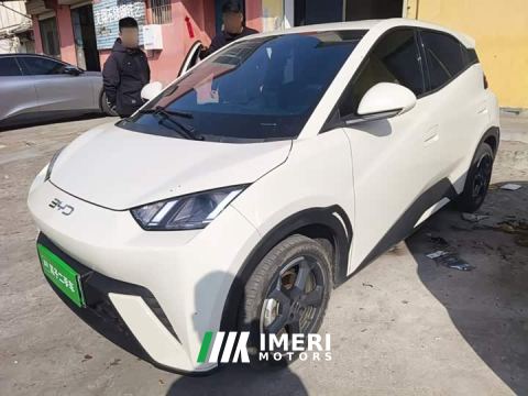 2024 BYD Seagull Freedom Edition - ავტომობილი ჩინეთიდან