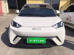 BYD Seagull Freedom Edition - фото 2