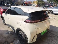 BYD Seagull Freedom Edition - фото 4