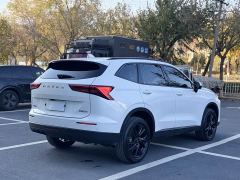 Haval H6 1.5T Two-Wheel Drive Max - ფოტო 13