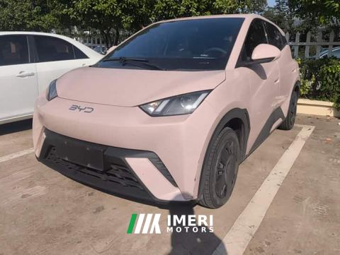 2025 BYD Seagull 305km Vitality Edition - ავტომობილი ჩინეთიდან