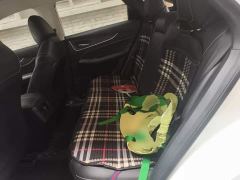 Nissan Raize 260T Love Bean Edition - photo 13