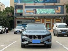 Voyah Lantu FREE Four-Wheel Drive Standard Extended Range Exclusive Luxury Package - фото 2