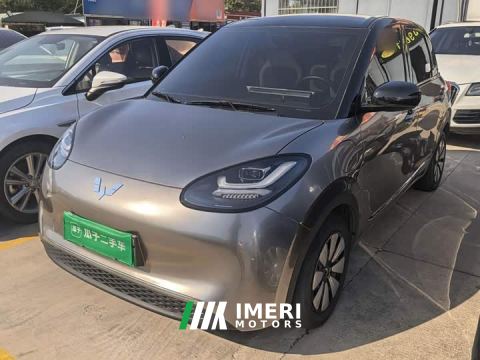 2024 Wuling Binguo 333km Joy Edition - car from China