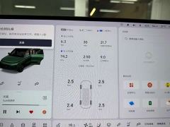 Li Auto L9 Max - ფოტო 19