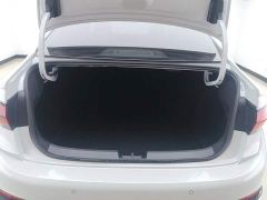 Volkswagen Sagitar 300TSI DSG Excellence Edition - photo 4
