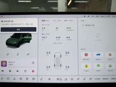 Li Auto L9 Max - ფოტო 19