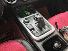 Tank 300 Off-Road Edition 2.0T Conqueror - ფოტო 13