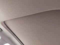 Changan CS55PLUS 1.5T Luxury Version - photo 17