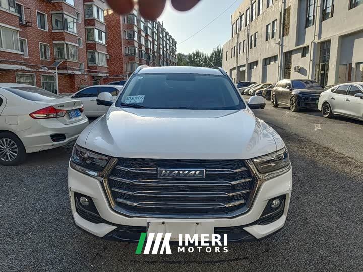 Haval H6 National Trend 1.5T Automatic Champion Edition - car from China