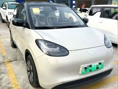 Wuling Binguo 203km Comfort Edition - ფოტო 2