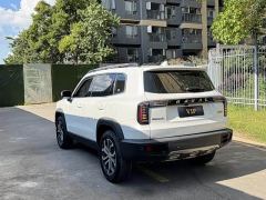 Great Wall Dachshund 1.5T DCT Two-Wheel Drive Border Collie Edition - ფოტო 11