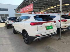 Haval H6 National Trend Edition 1.5T Automatic Urban Version - фото 4
