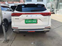 Haval H6 National Trend Edition 1.5T Automatic Urban Version - фото 5