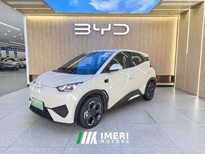 BYD Seagull Smart Drive 405km Flight Edition - ავტომობილი ჩინეთიდან
