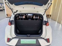 BYD Seagull Smart Drive 405km Flight Edition - ფოტო 17